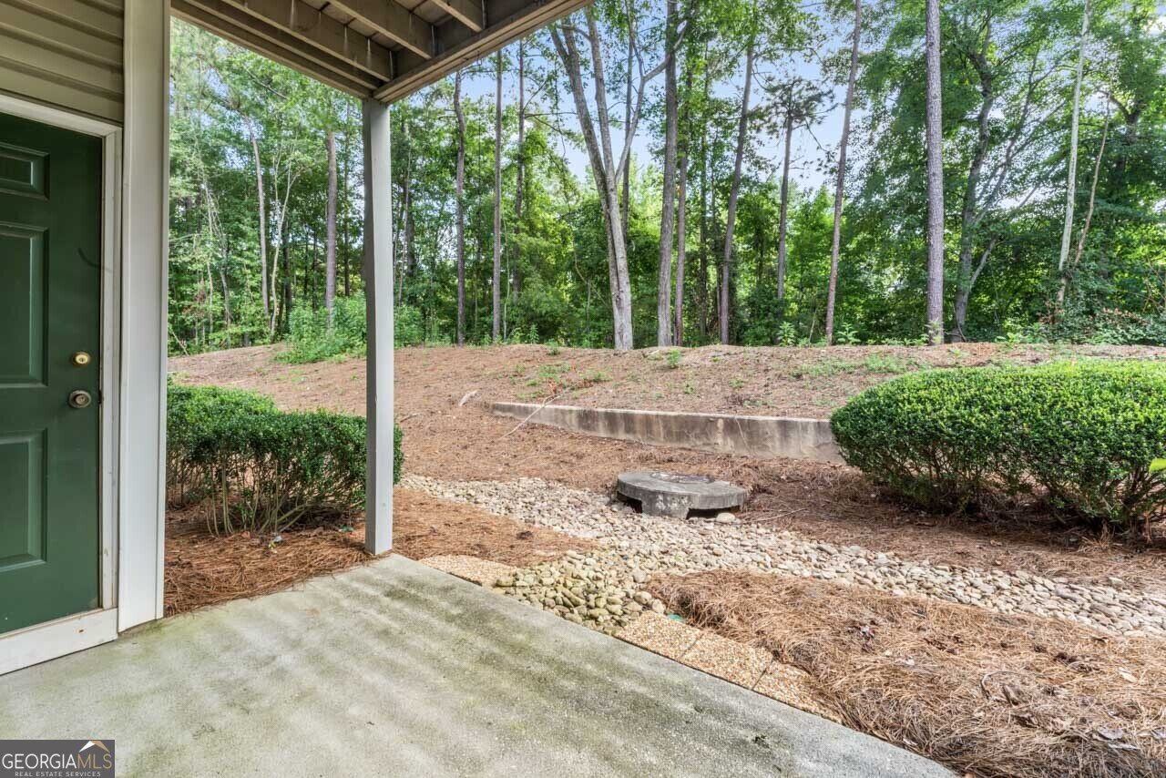 207 Las Brasis Court Peachtree City - 24