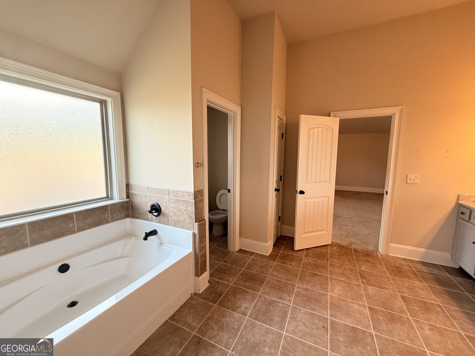 2617 Britt Trail Drive Lawrenceville - 20