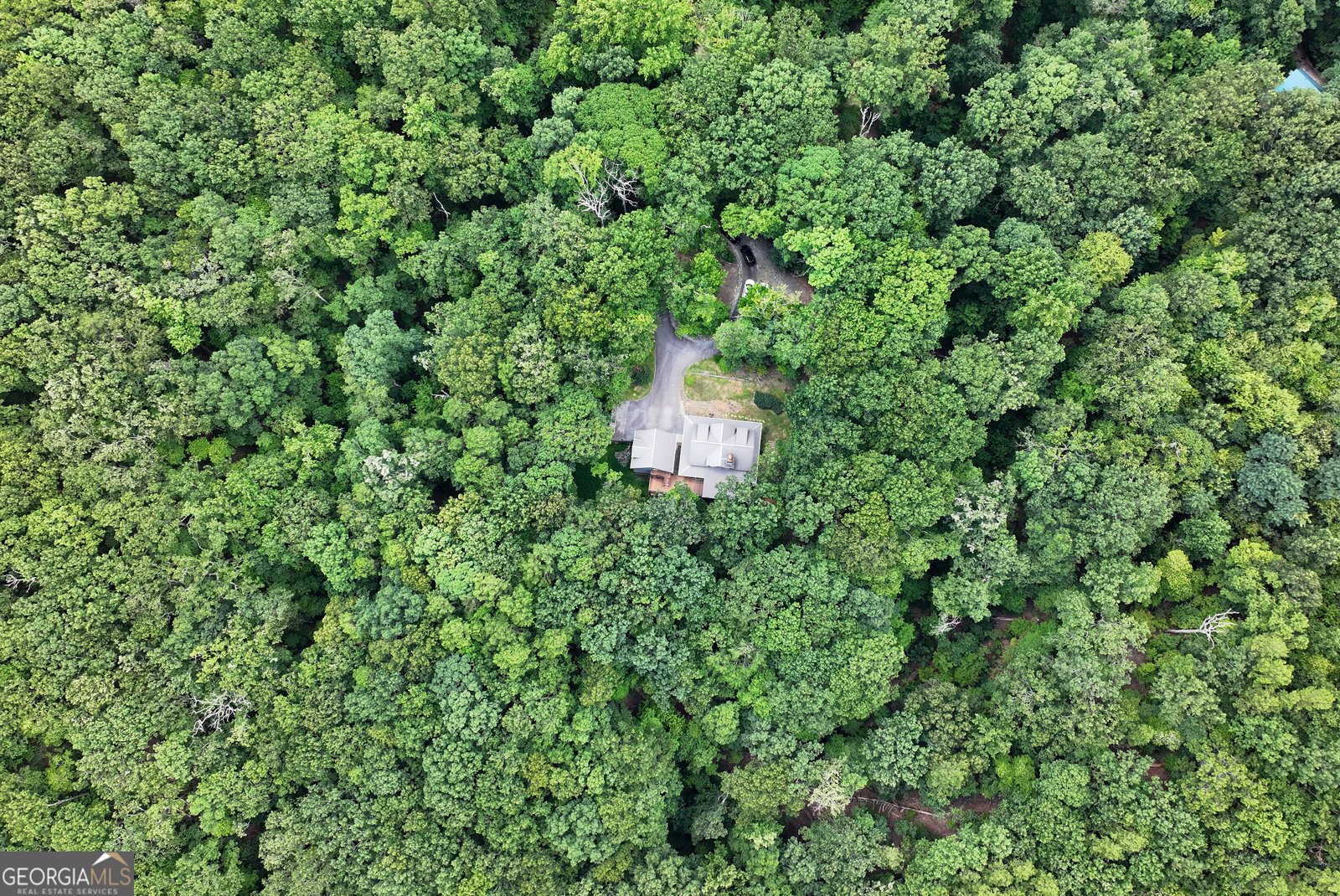 873 Laurel Ridge Road Cleveland - 65