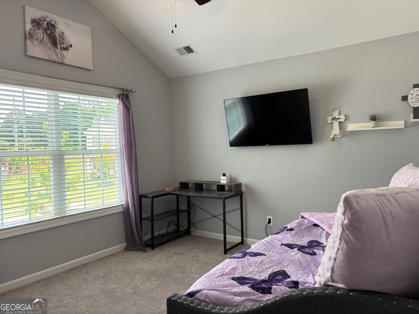 35 Pinehaven Drive Newnan - 5