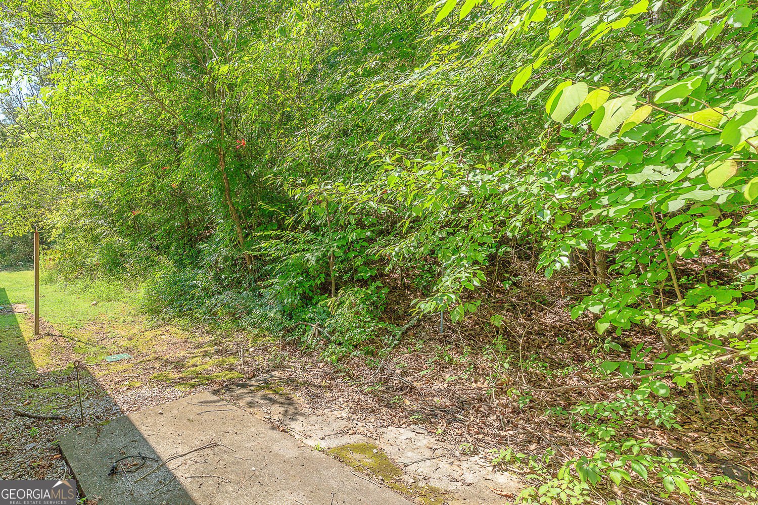 750 Dug Road Ringgold - 42