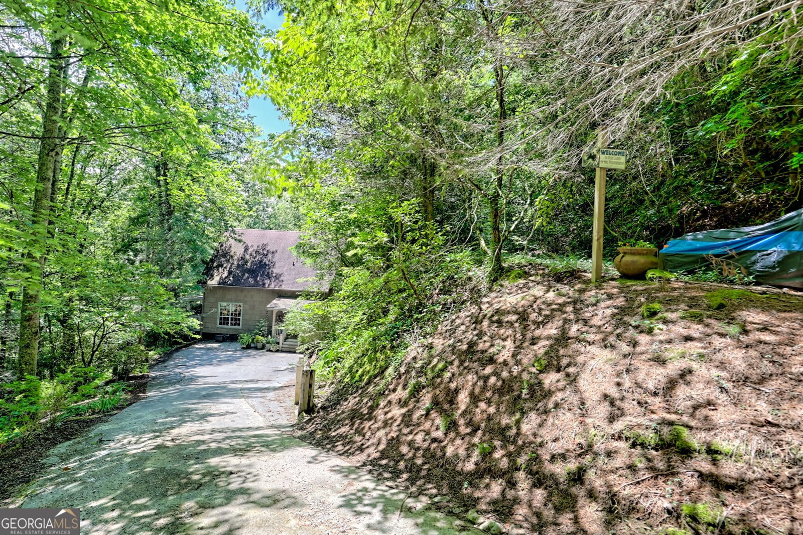 266 Evergreen Lane Sky Valley - 2