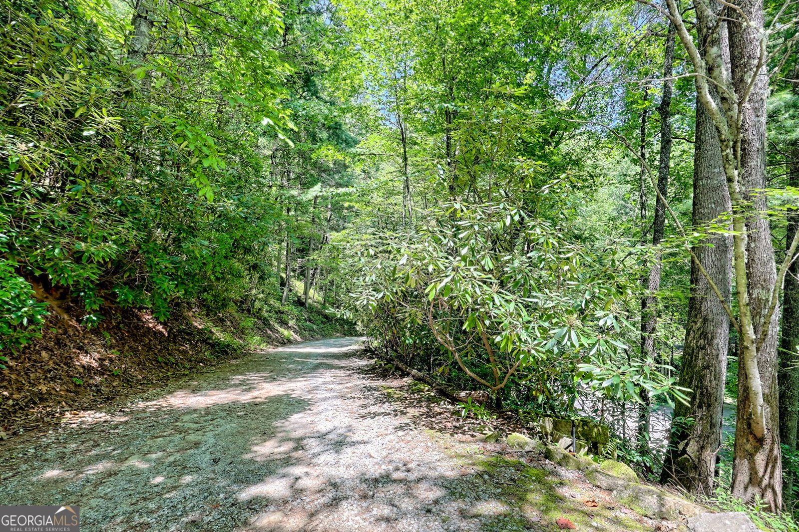 266 Evergreen Lane Sky Valley - 60