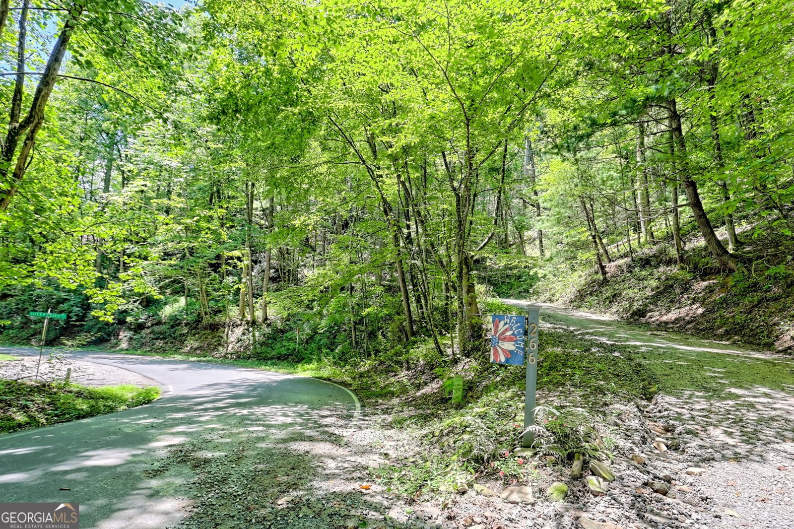 266 Evergreen Lane Sky Valley - 61