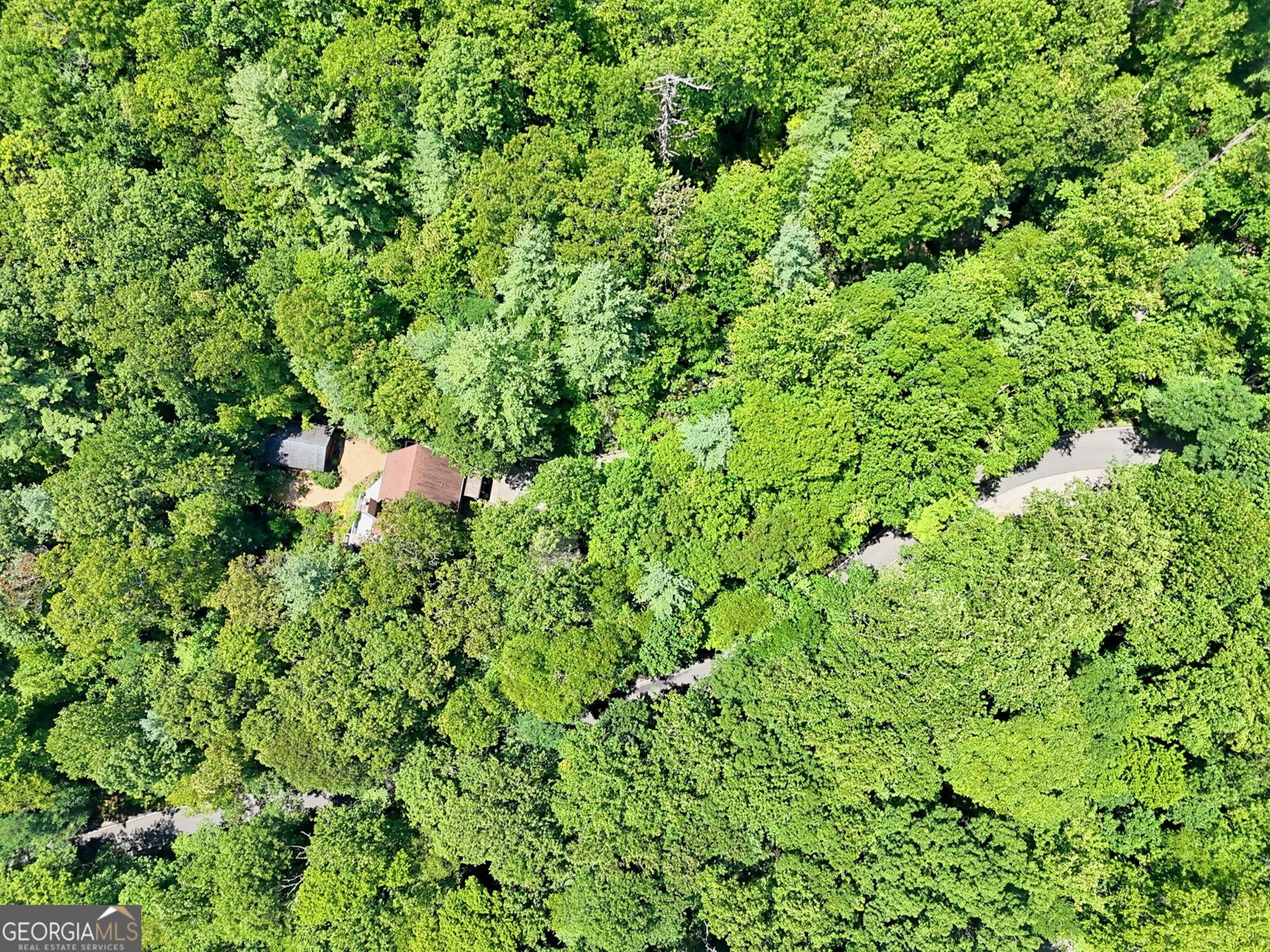 266 Evergreen Lane Sky Valley - 66