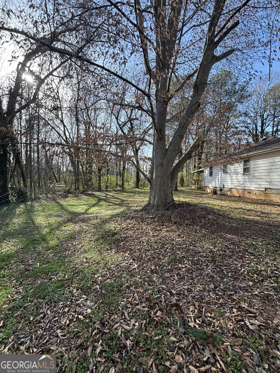 1027 Born Road Stone Mountain - 4
