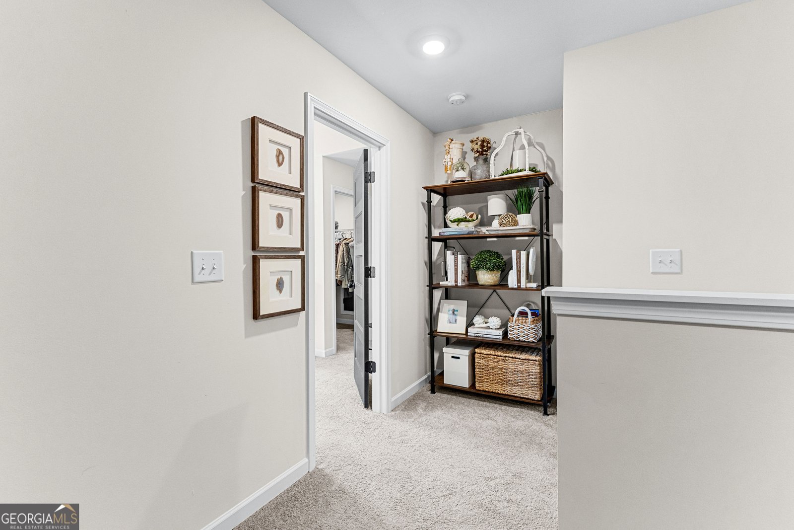209 Maddington Court Senoia - 45