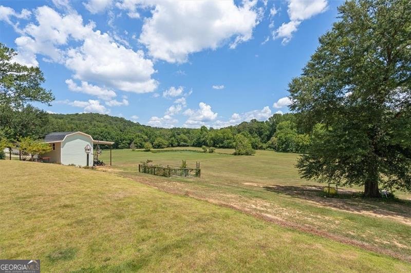 441 PUMPKINVINE Road Acworth - 45