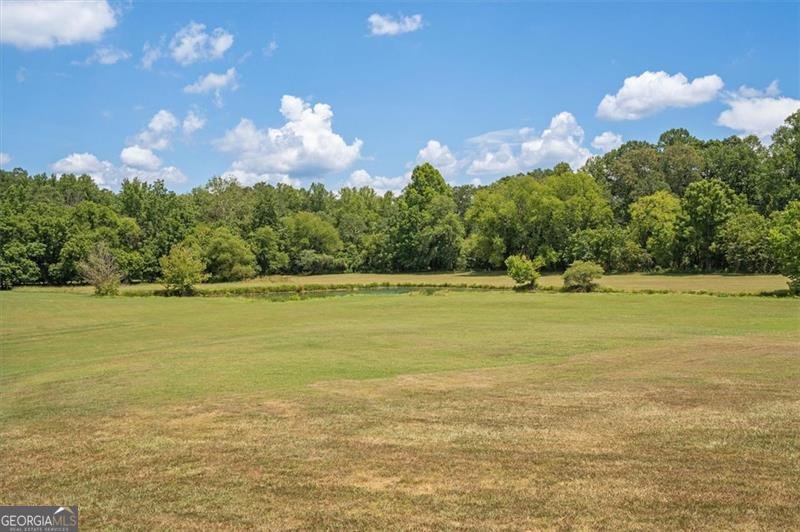 441 PUMPKINVINE Road Acworth - 46