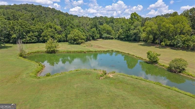 441 PUMPKINVINE Road Acworth - 47