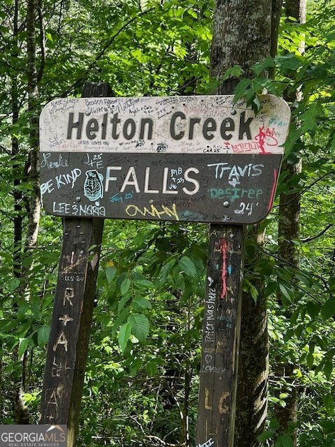 100 Reddick Drive Blairsville - 34