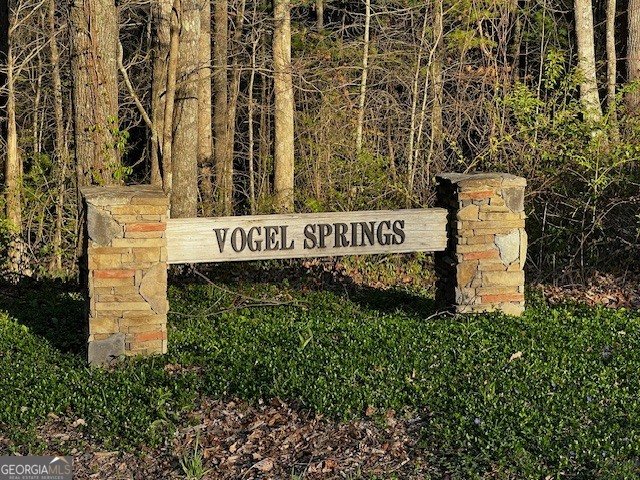 100 Reddick Drive Blairsville - Photo 48