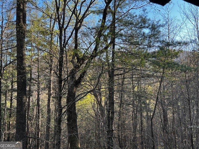 100 Reddick Drive Blairsville - Photo 49