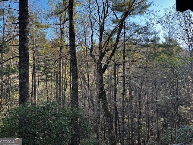 100 Reddick Drive Blairsville - Photo 50