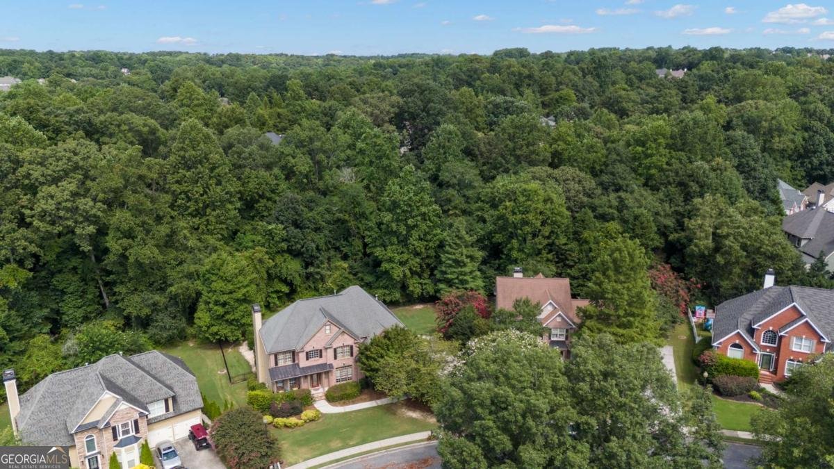 3172 Green Farm Trail Dacula - 69
