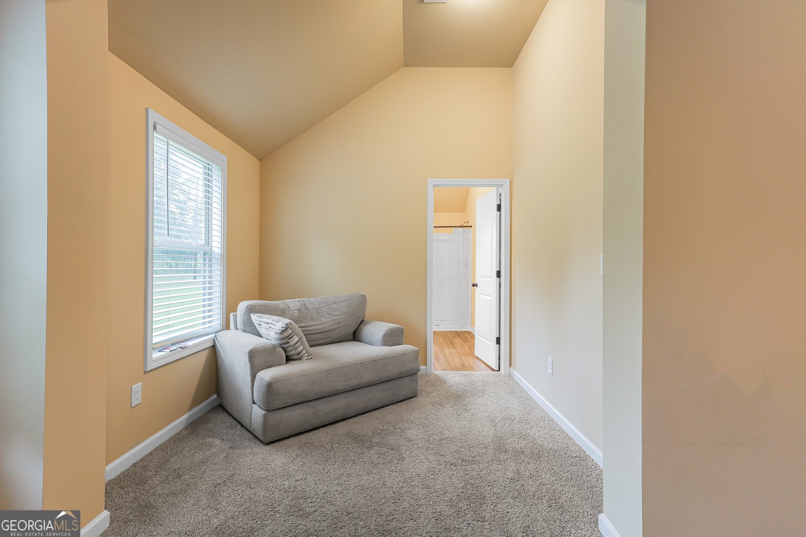 3320 Ola Road Locust Grove - 2