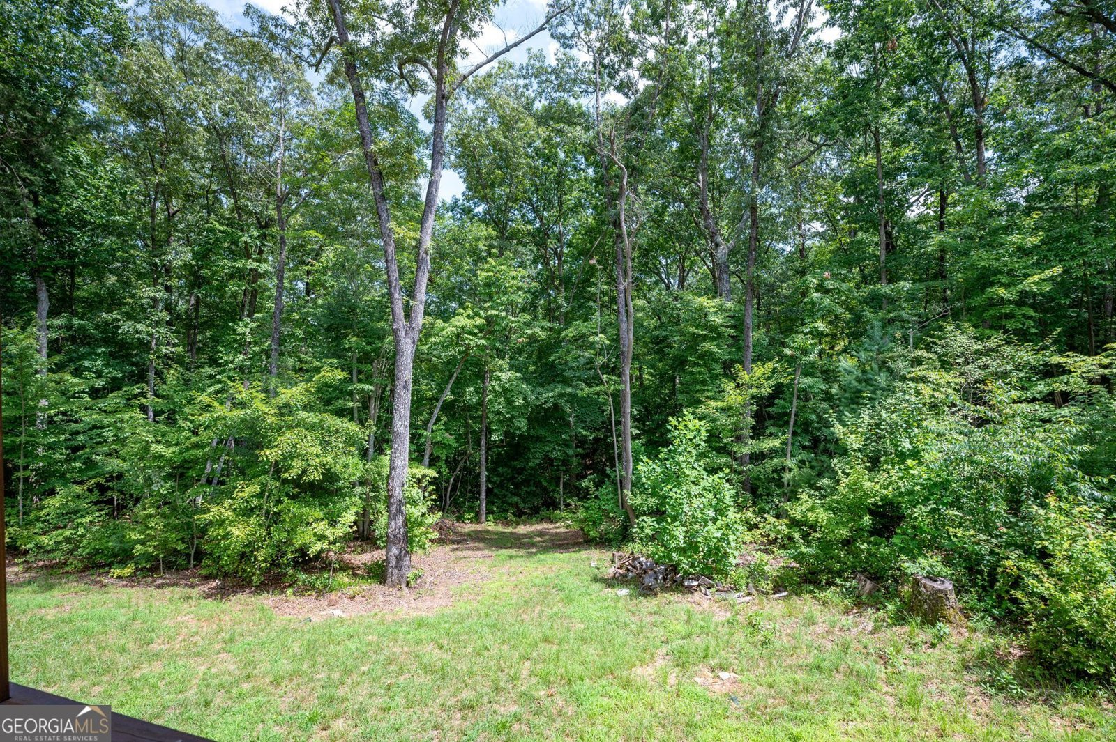 146 Hackney Trail Ellijay - 12