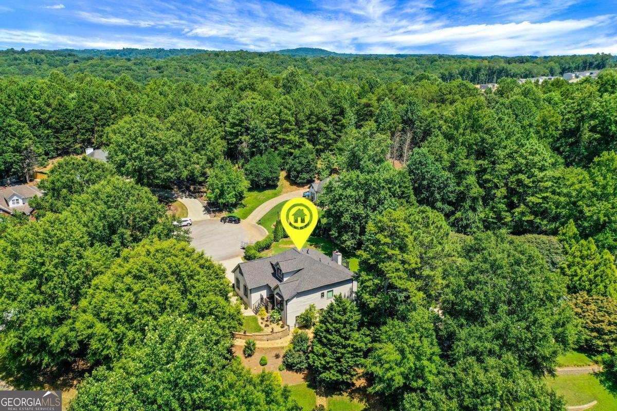 5166 Artesian Spring Drive Flowery Branch - 40