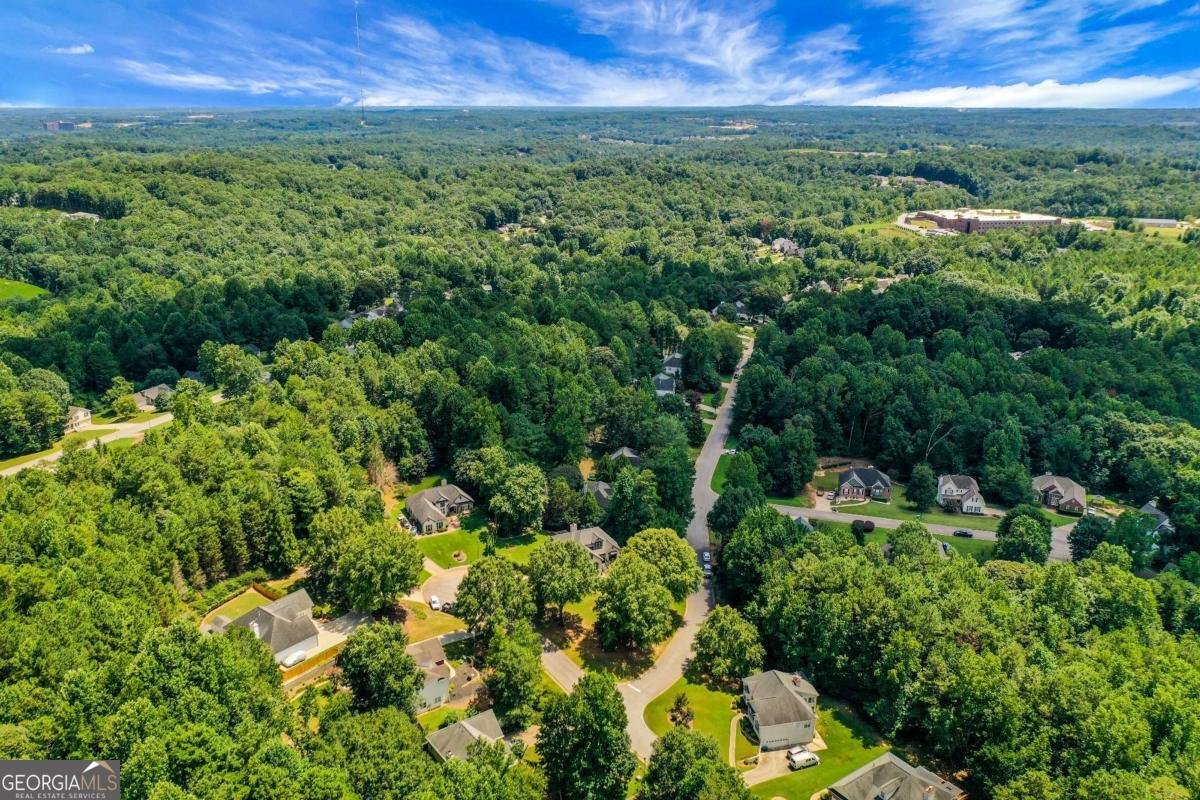 5166 Artesian Spring Drive Flowery Branch - 41