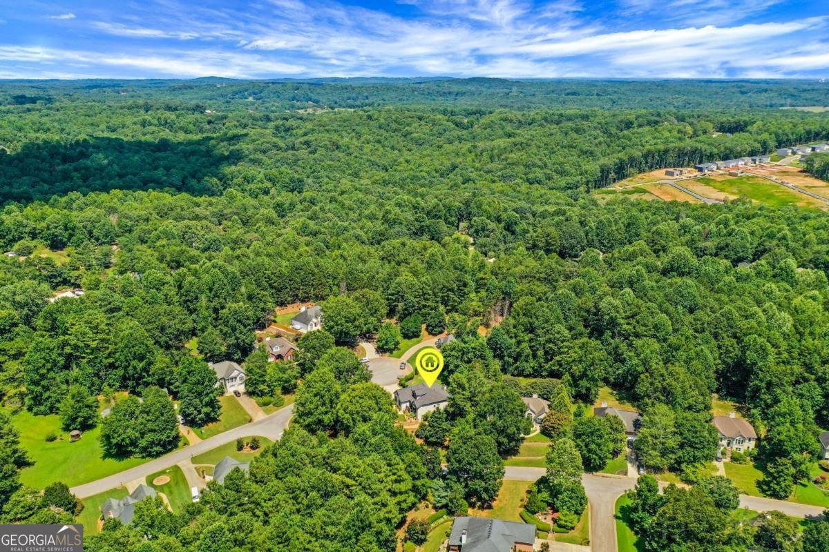 5166 Artesian Spring Drive Flowery Branch - 42