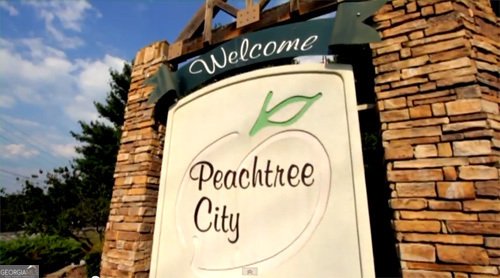 1109 Maybeck Way Peachtree City - 90