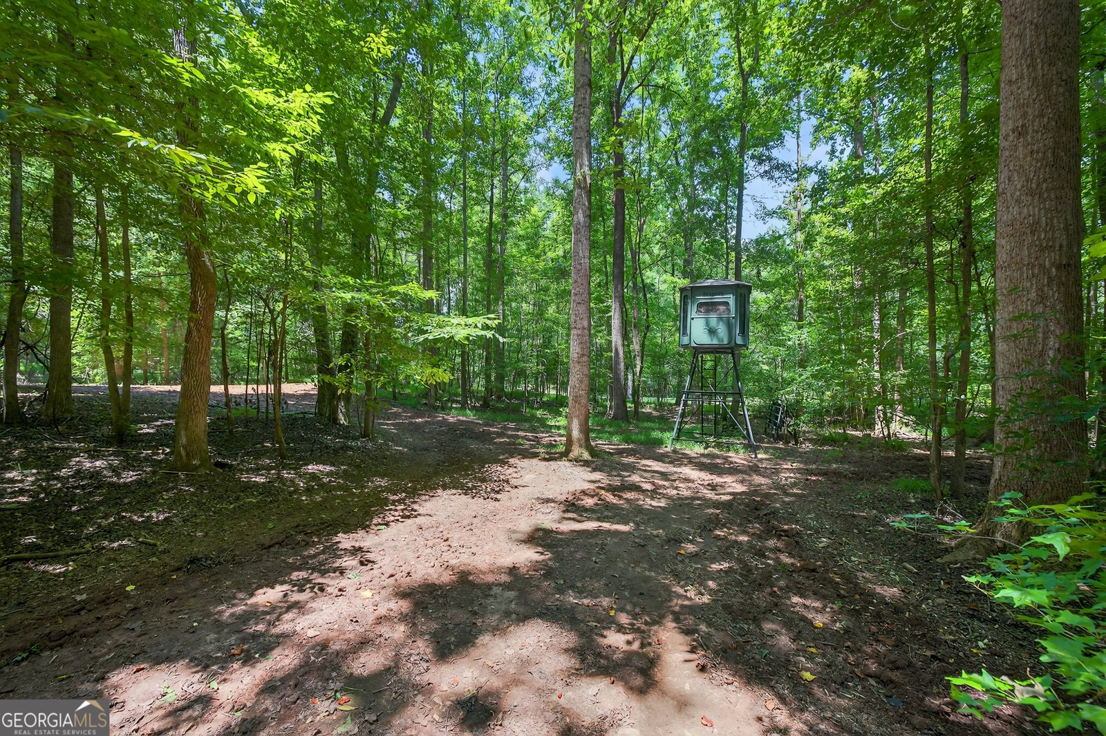 1050 Cedar Grove Drive Buckhead - 32
