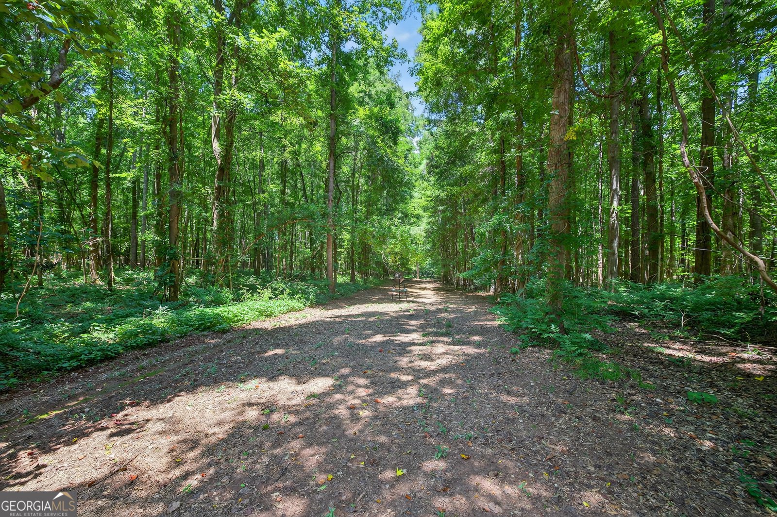 1050 Cedar Grove Drive Buckhead - 38
