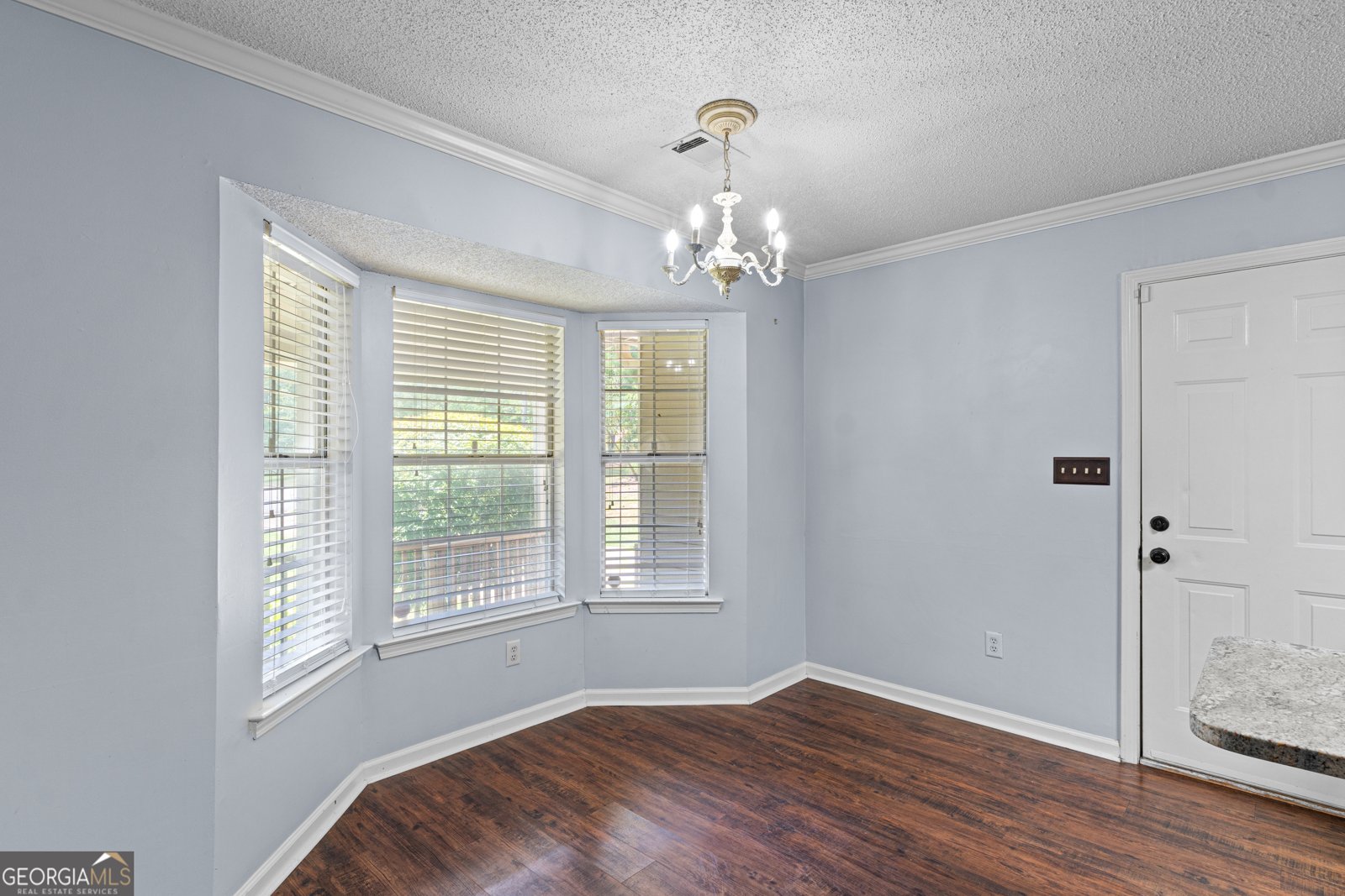 145 Steeplechase Drive McDonough - 12