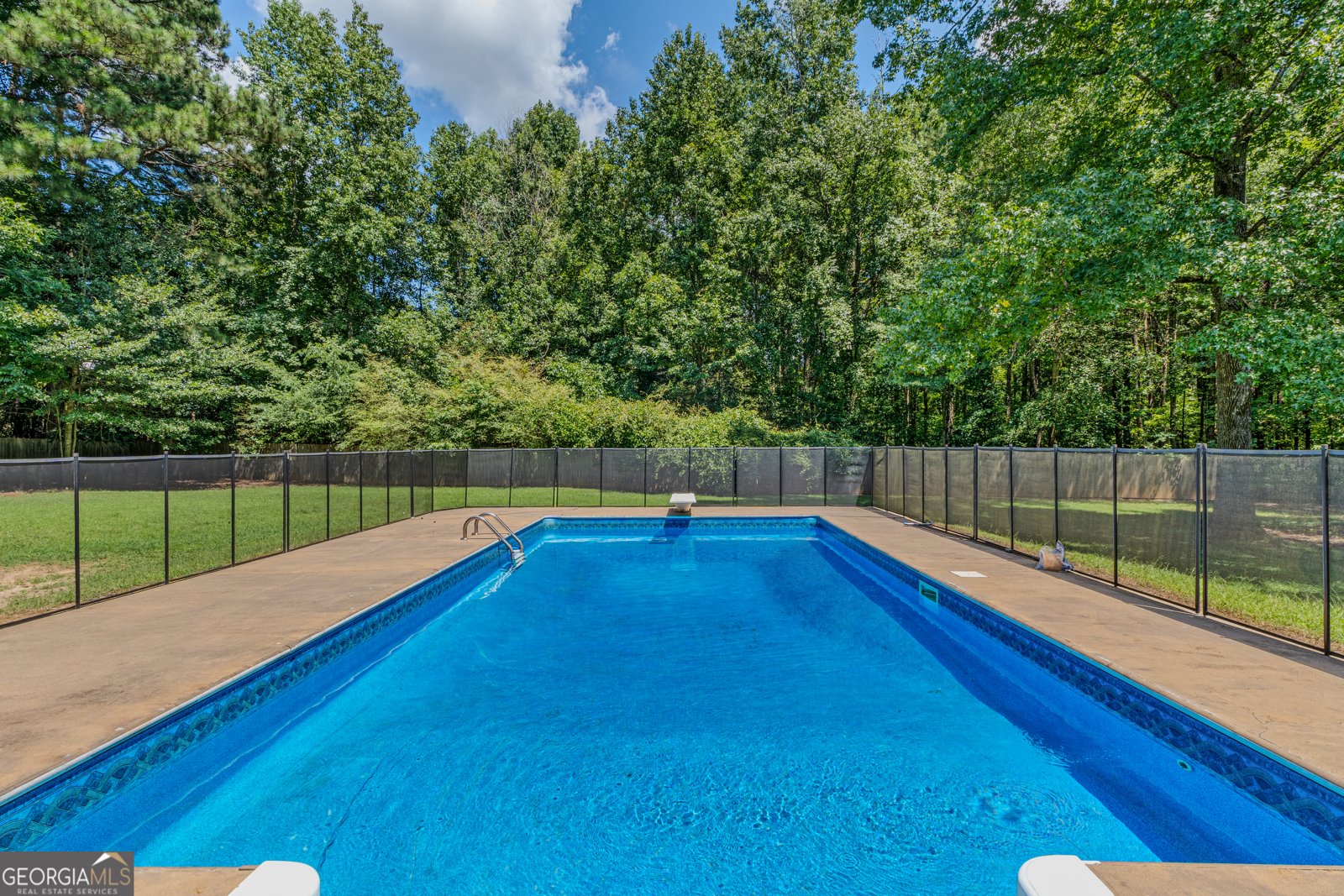 145 Steeplechase Drive McDonough - 4
