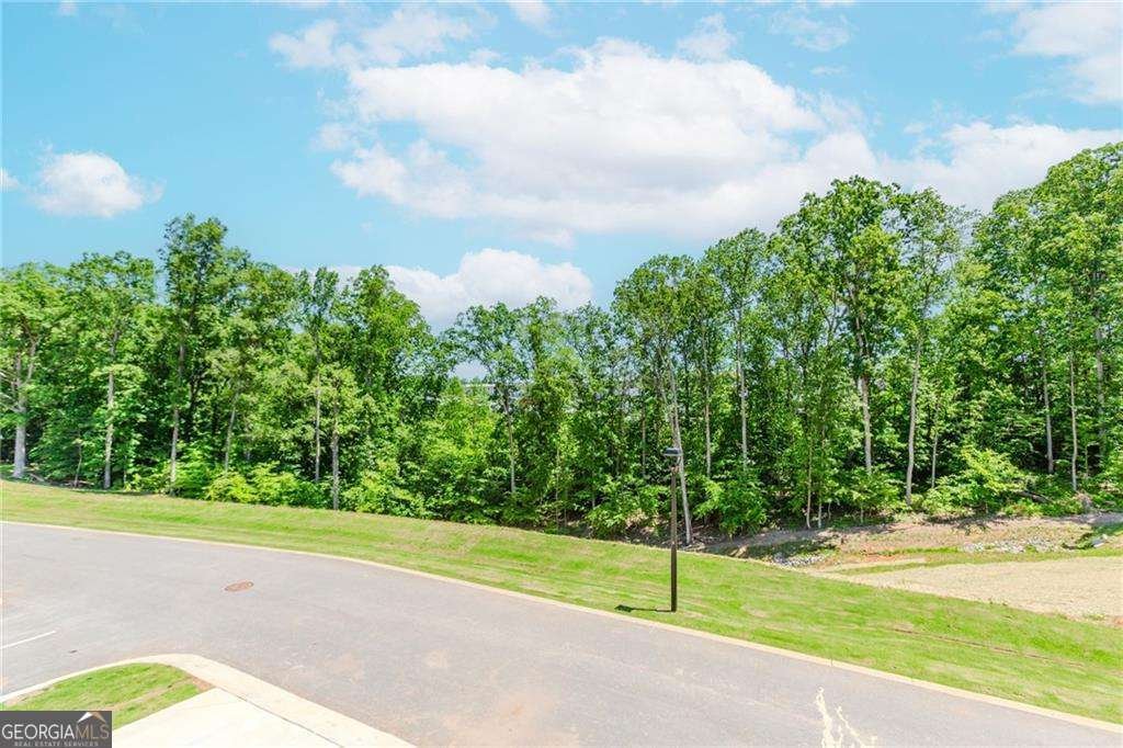 1230 Ainsworth Alley Sugar Hill - 44