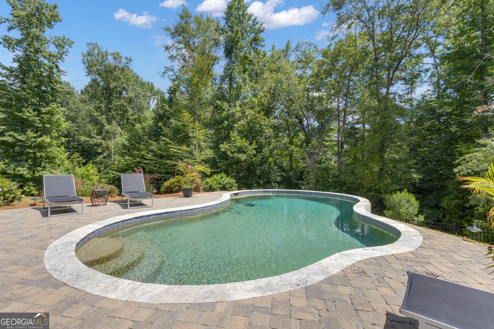 45 Woodchase Drive Senoia - 2