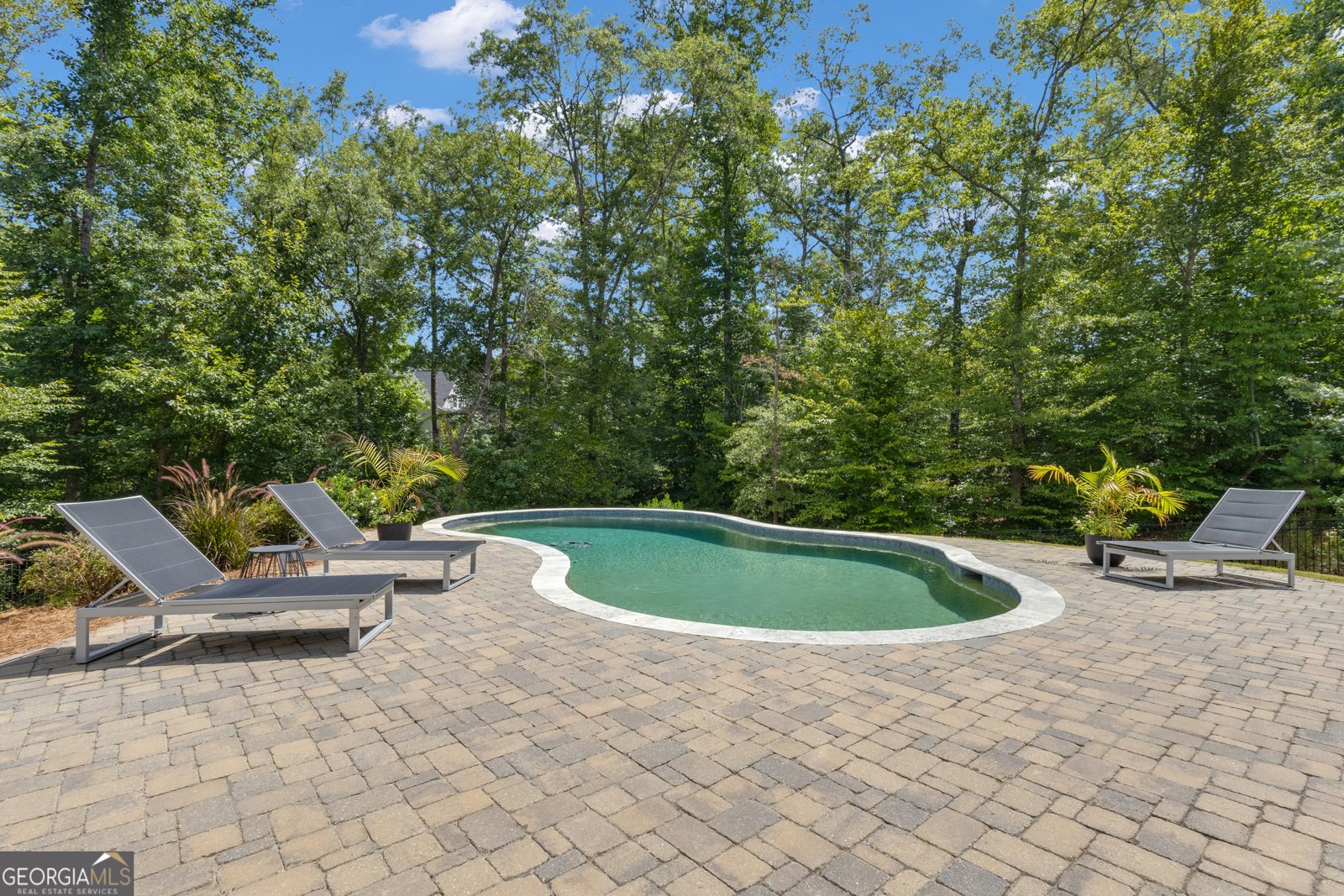 45 Woodchase Drive Senoia - 25