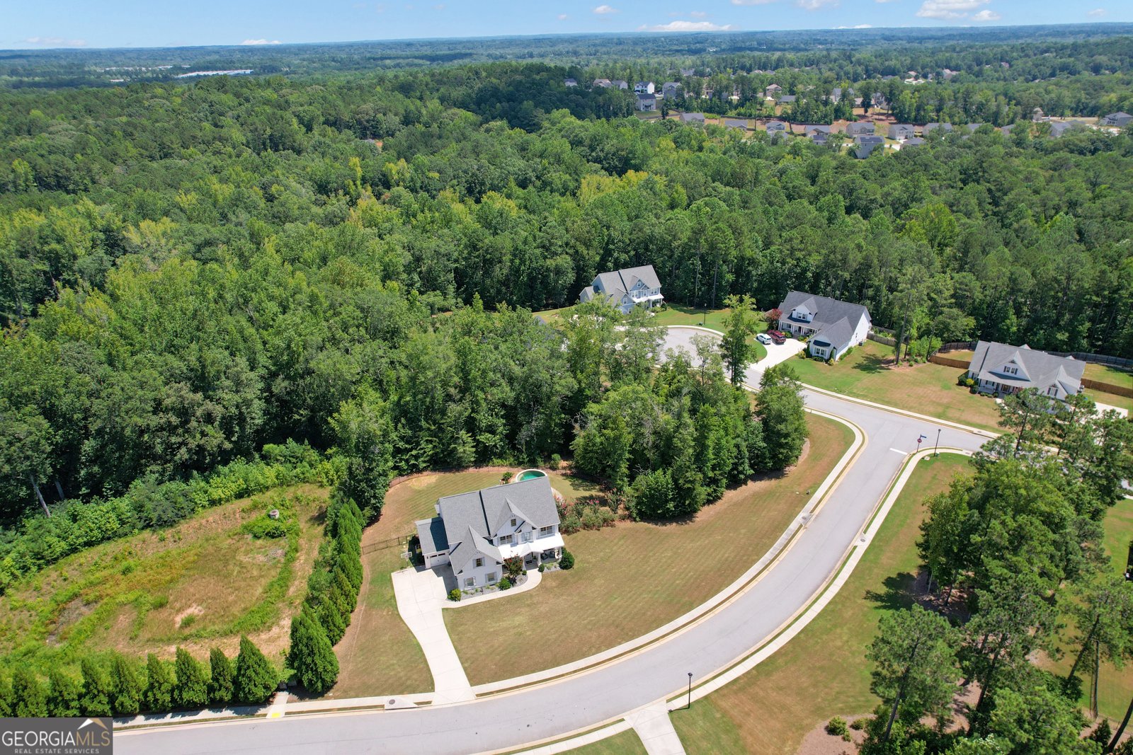 45 Woodchase Drive Senoia - 46