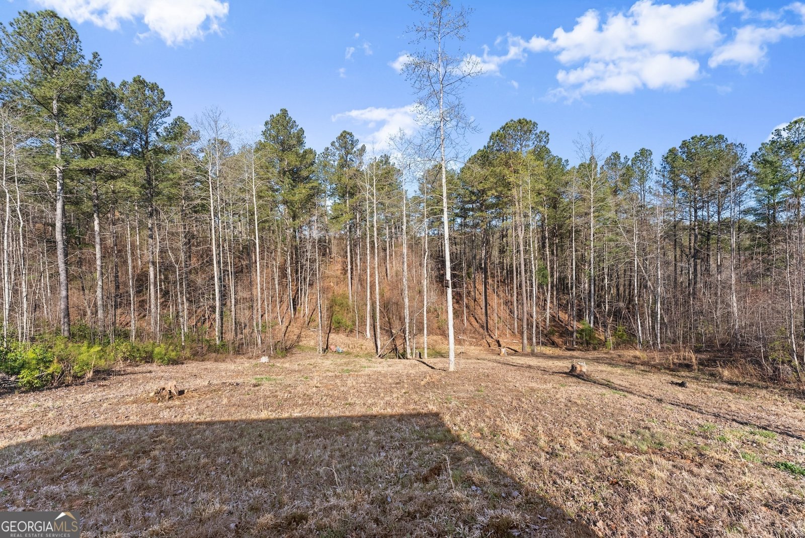 121 Station Gap Dahlonega - 13