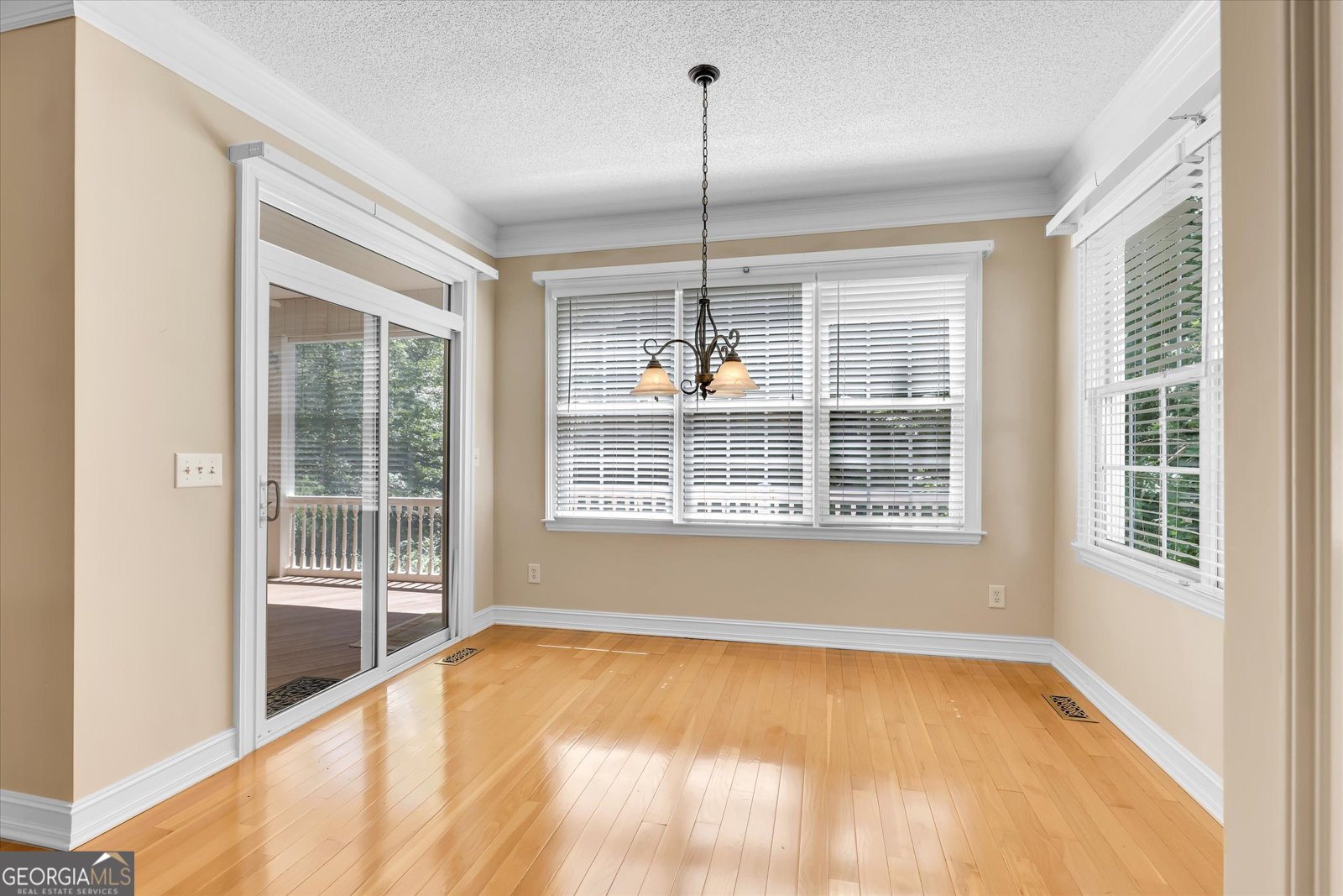 164 Maple Grove Terrace Peachtree City - 17