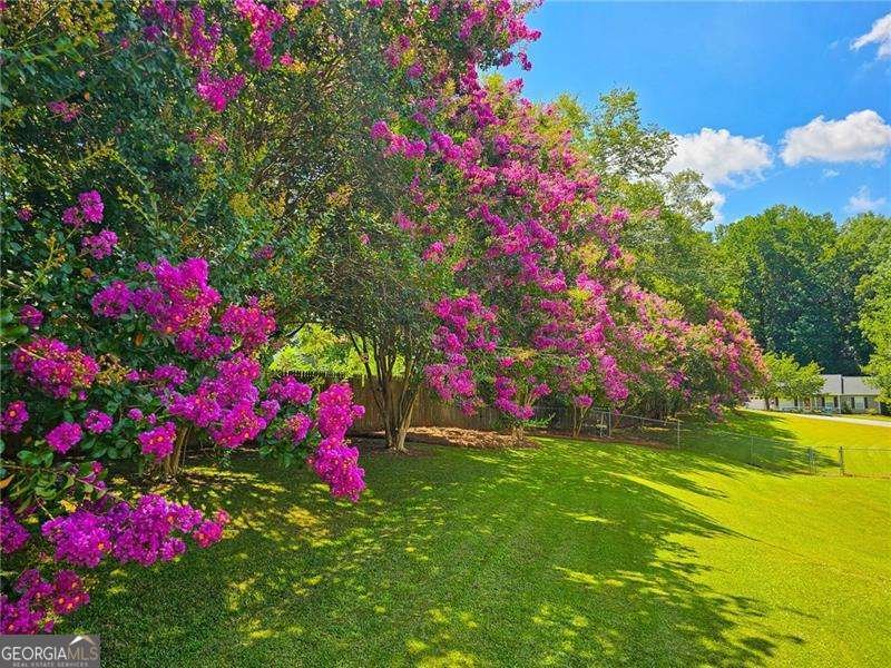 145 Colemans Bluff Drive Woodstock - 7