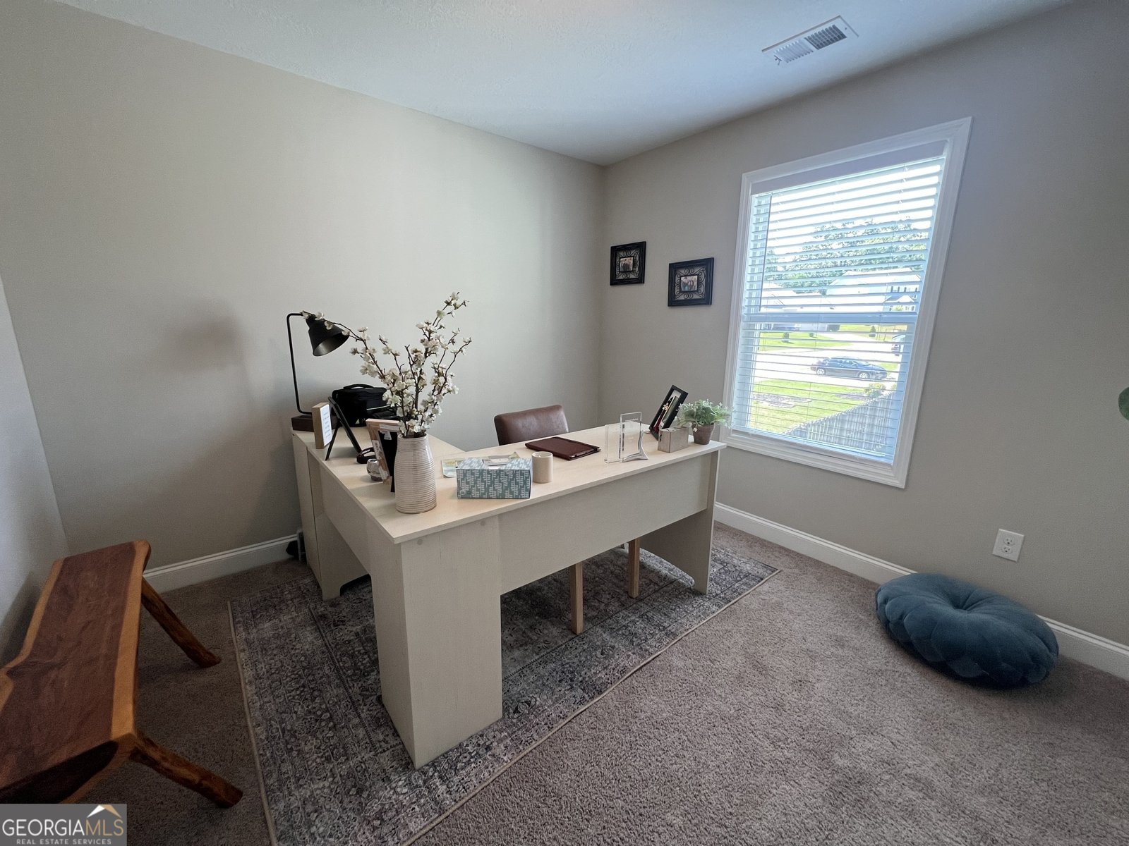 114 Headwaters Drive Harlem - 27