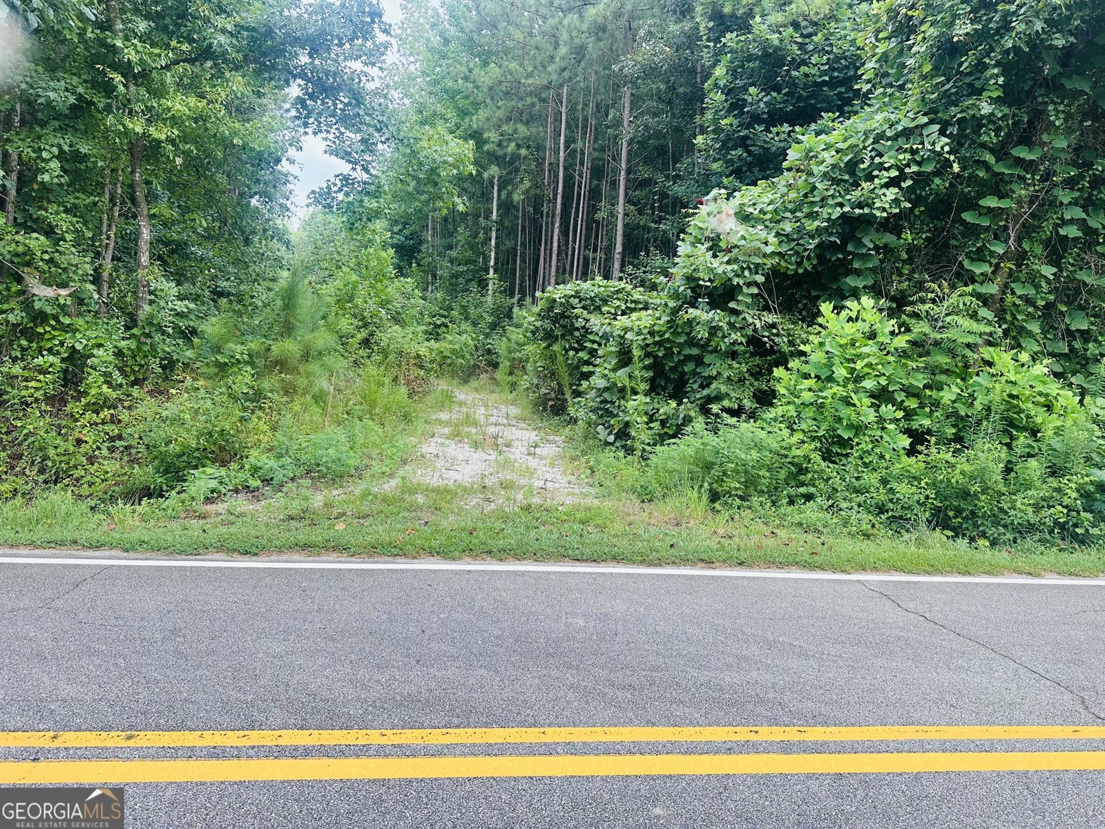 406 Holly Springs Road Carrollton - 5
