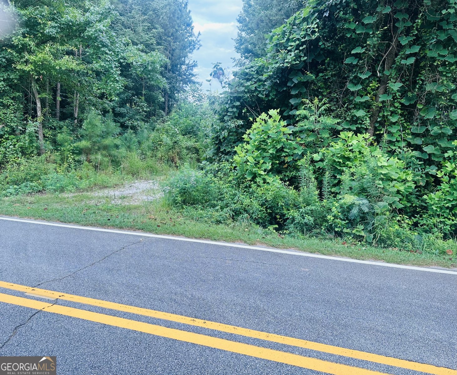 406 Holly Springs Road Carrollton - 6