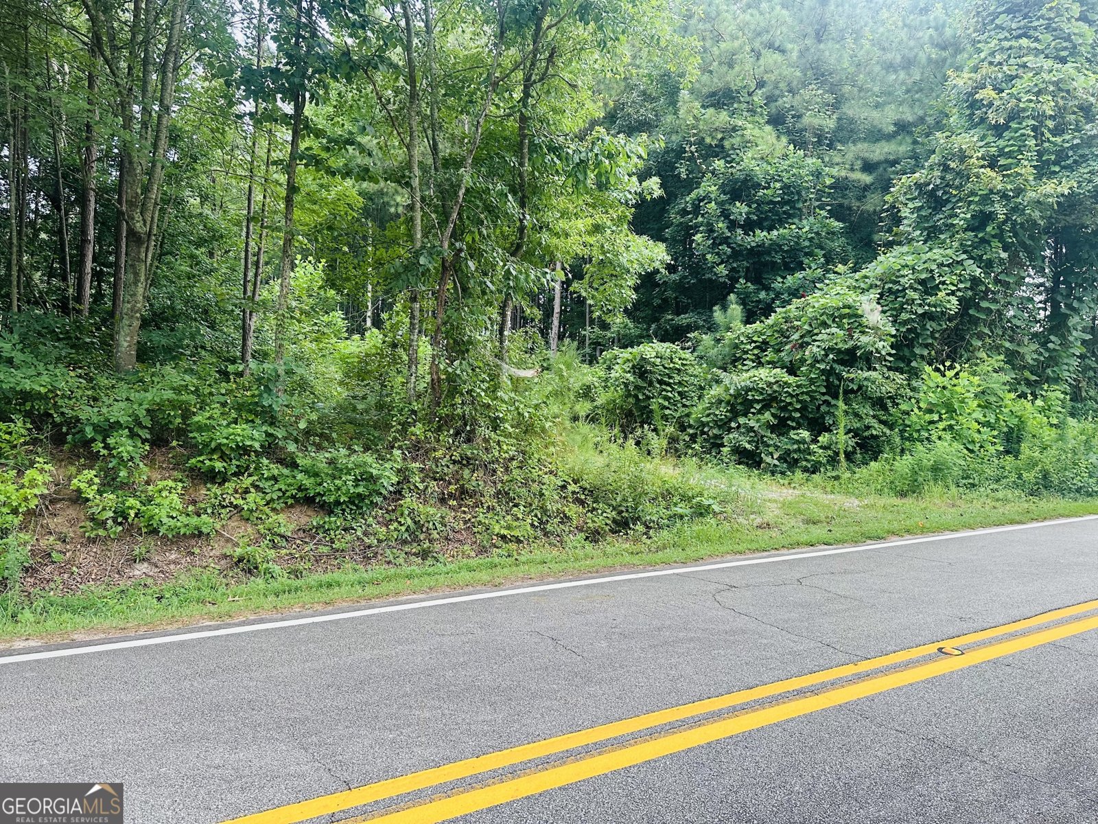 406 Holly Springs Road Carrollton - 7