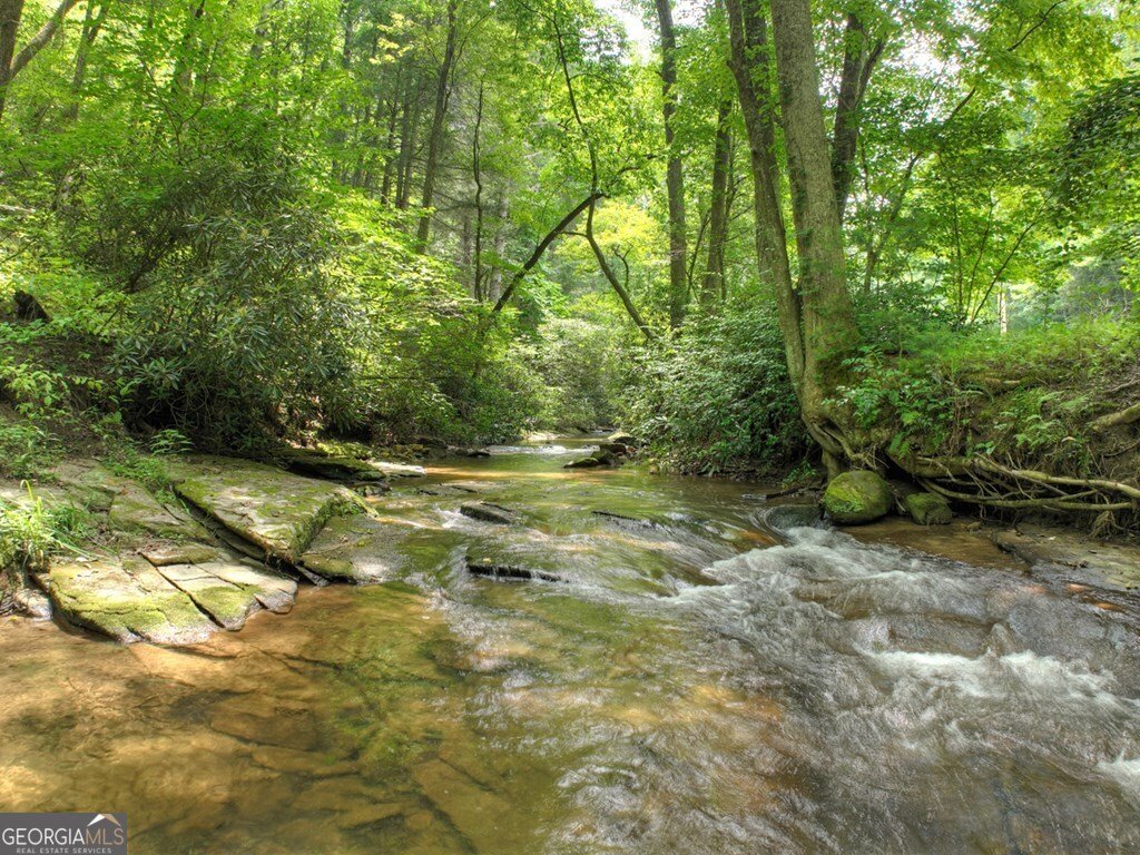 100 Stanley Creek Crossing Blue Ridge - 3