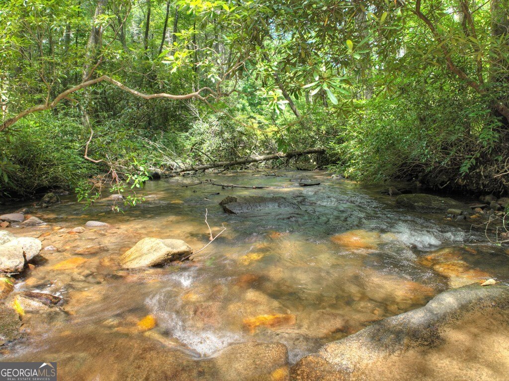 100 Stanley Creek Crossing Blue Ridge - 44