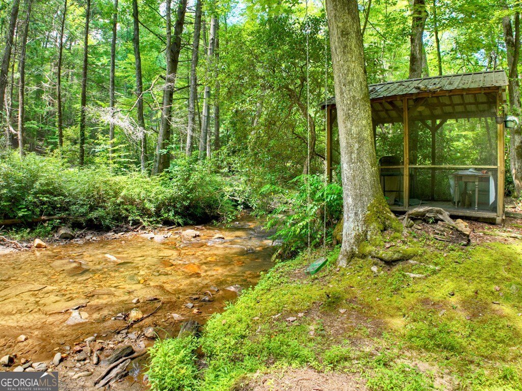100 Stanley Creek Crossing Blue Ridge - 46