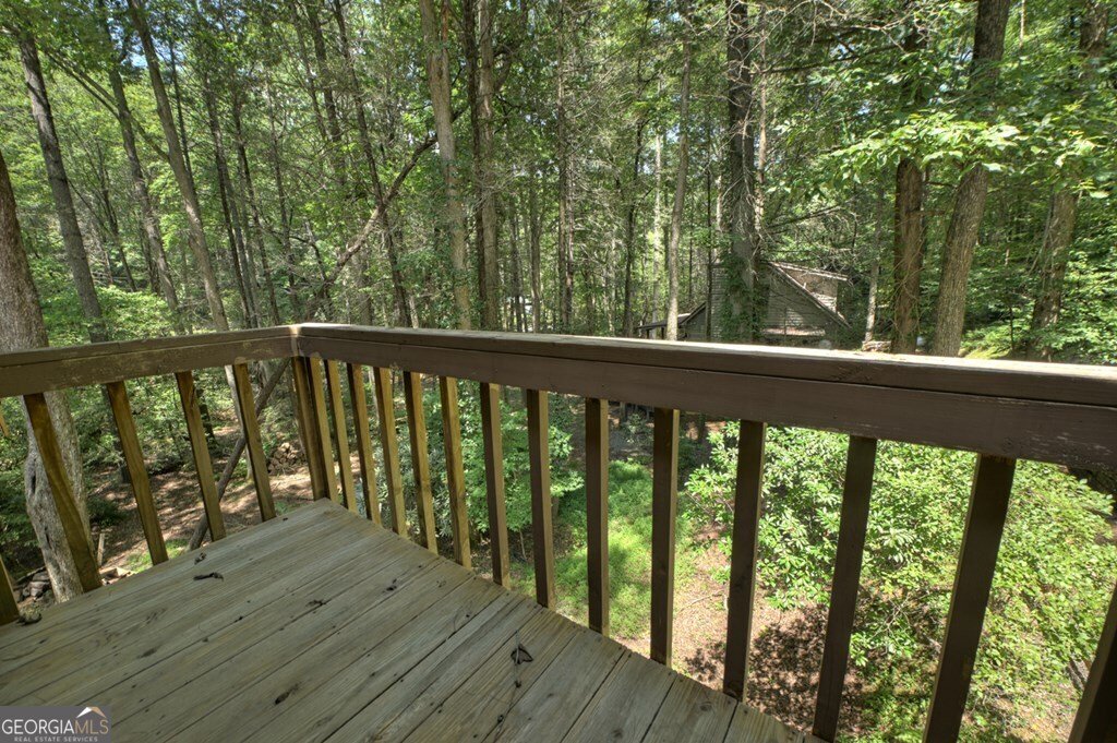 100 Stanley Creek Crossing Blue Ridge - 60