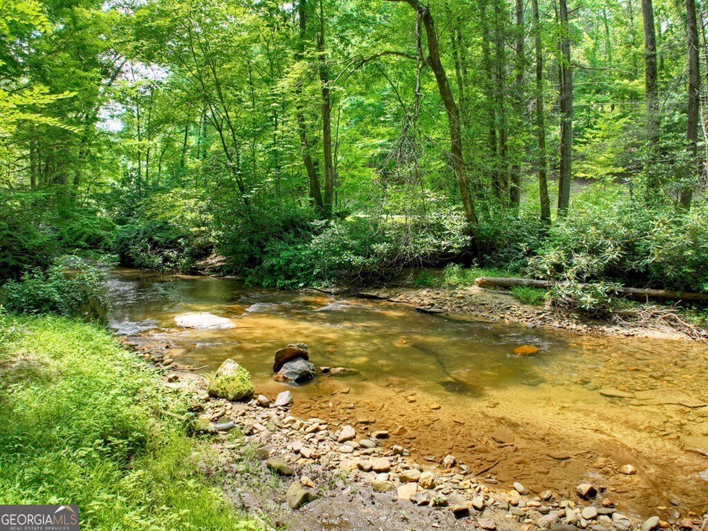 100 Stanley Creek Crossing Blue Ridge - 67