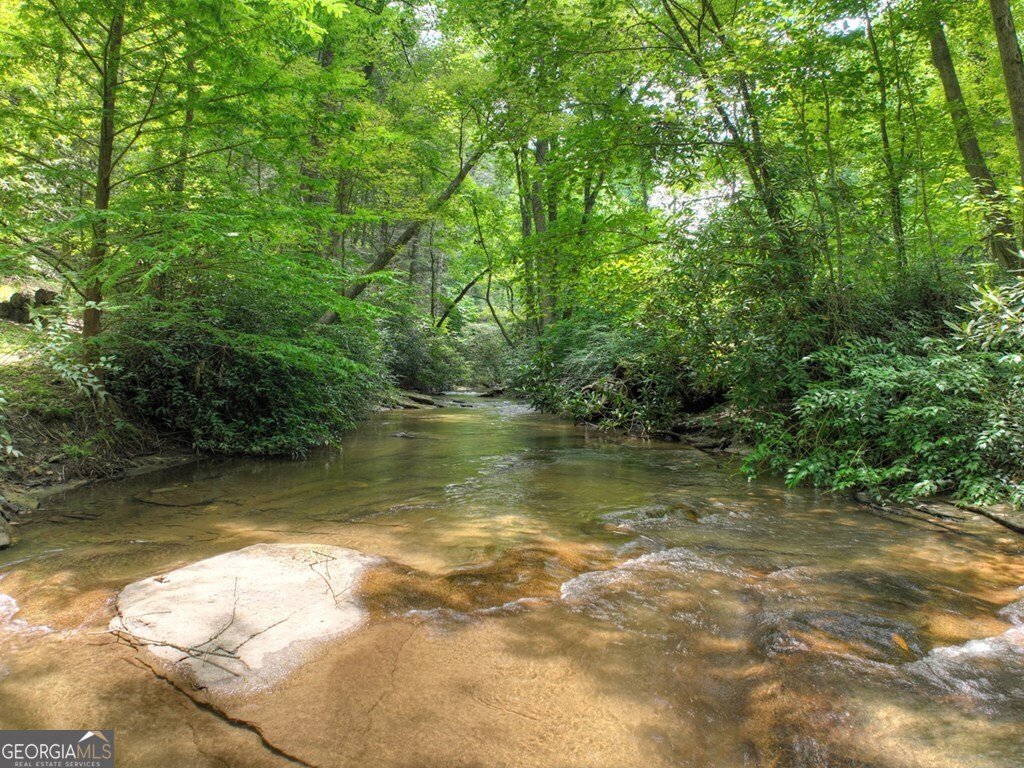 100 Stanley Creek Crossing Blue Ridge - 71