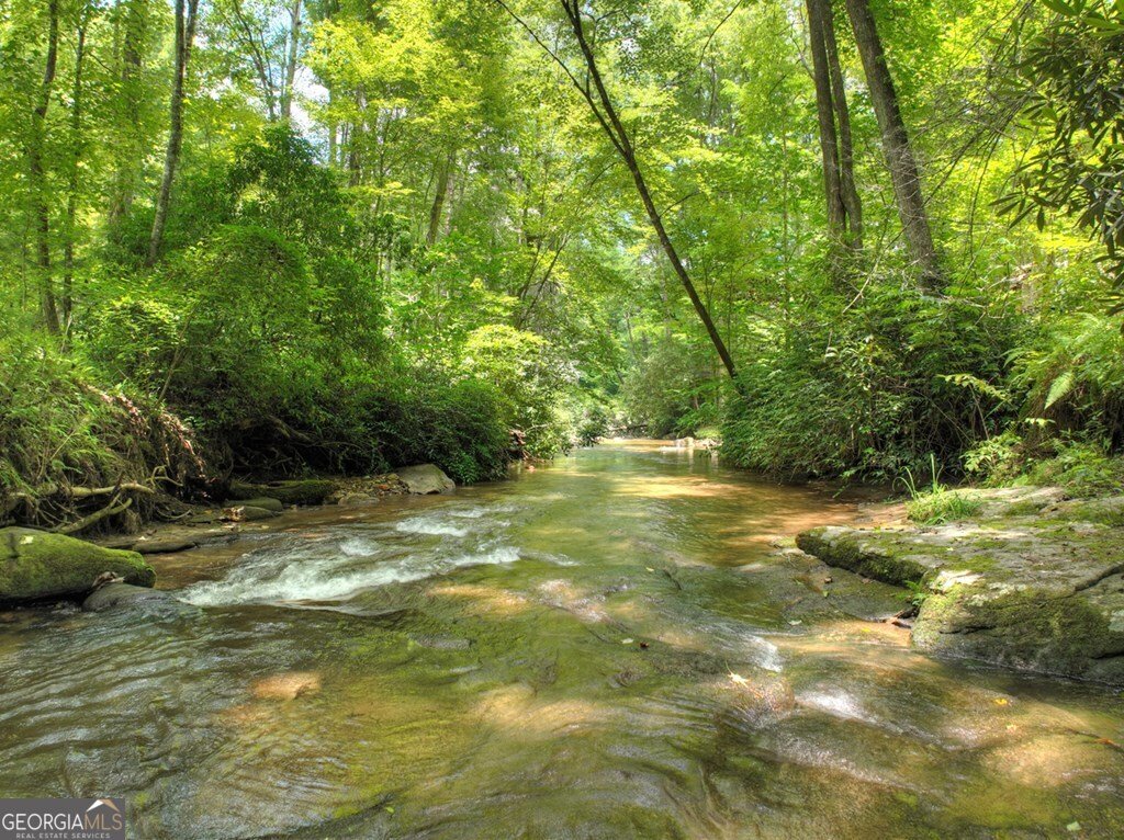 100 Stanley Creek Crossing Blue Ridge - 9