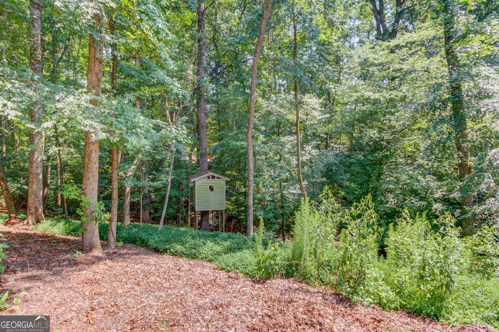 4727 Ardmore Lane Hoschton - 13