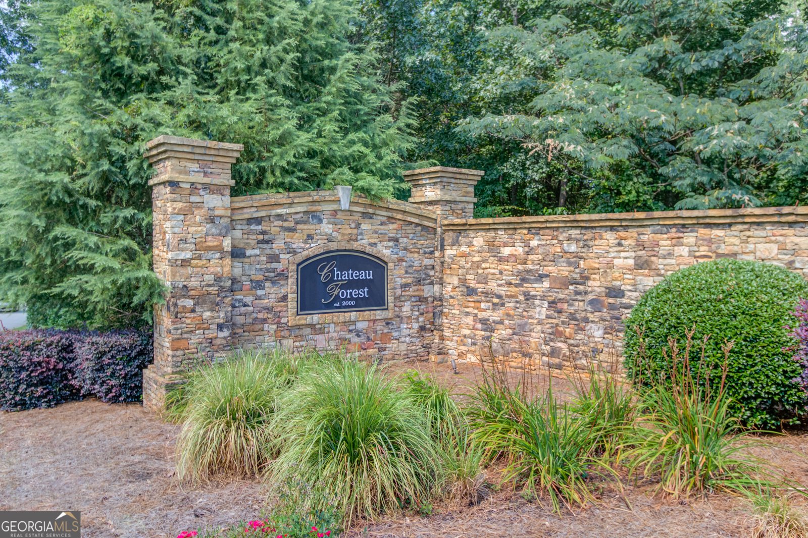 4727 Ardmore Lane Hoschton - 16
