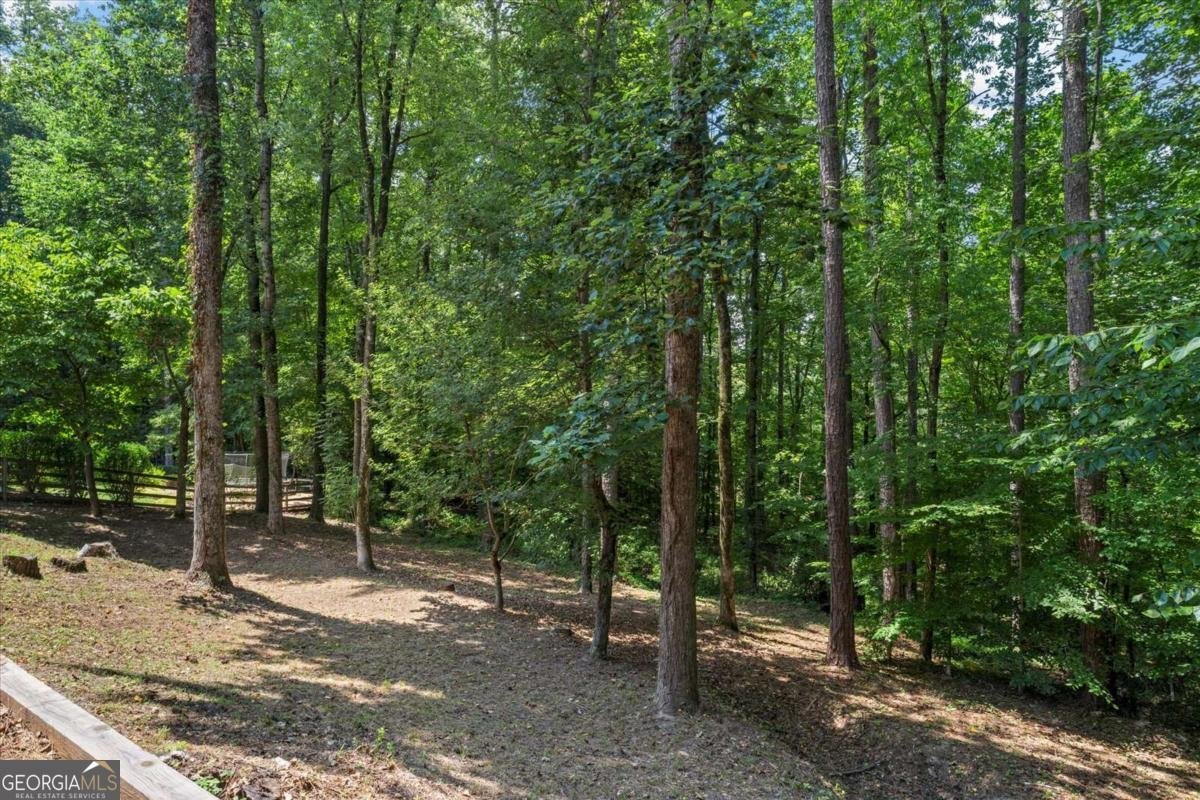 1307 Independence Way Marietta - 25
